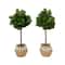4ft. Artificial Fiddle Leaf Fig Tree with Handmade Jute & Cotton Basket with Tassels